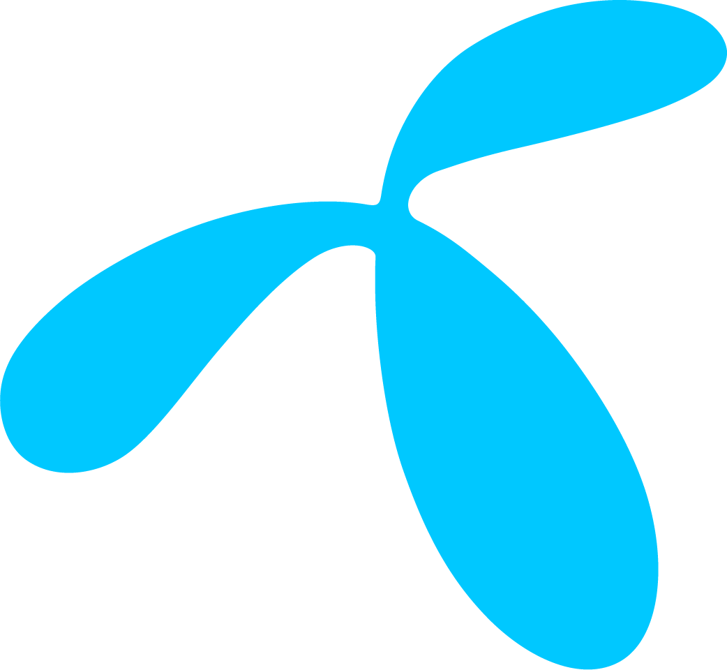 Network Icon